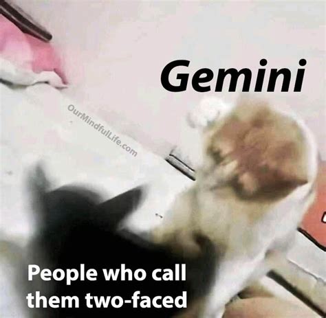 34 Funny Gemini Memes That Are So True It Hurts