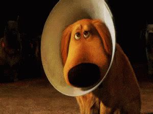 Cone Of Shame GIF - Dug Up Coneofshame - Discover & Share GIFs