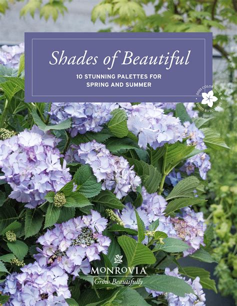 Shades of Beautiful '23 by monroviaplants - Issuu