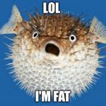 Puffer Fish Meme Generator - Imgflip