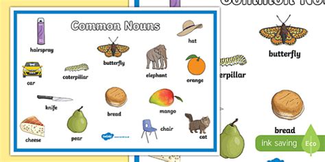 Common Nouns Display Poster (teacher made)