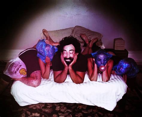 Black Moth Super Rainbow están de vuelta: anuncian disco («Panic Blooms ...