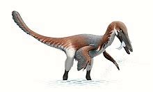 Austroraptor dinosaurs , facts | pictures - Austroraptor dinosaurs habitat.