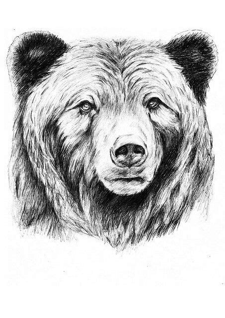 grizzly fine line tattoo | Grizzly bear tattoos, Bear paintings, Bear ...