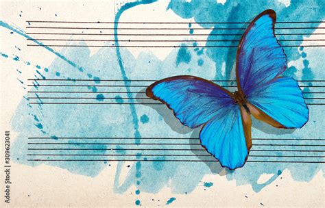 Morpho blue butterfly and notes. Butterfly melody. Photo of old music sheet in blue watercolor ...