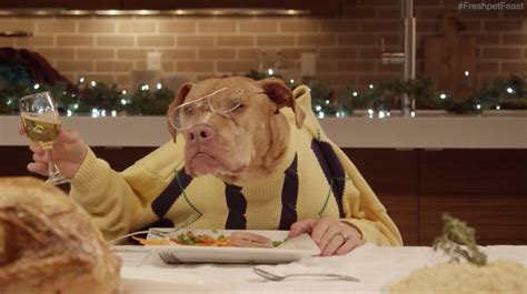 13 Dogs and a Cat Eat With Human Hands in Freshpet's Holiday Extravaganza