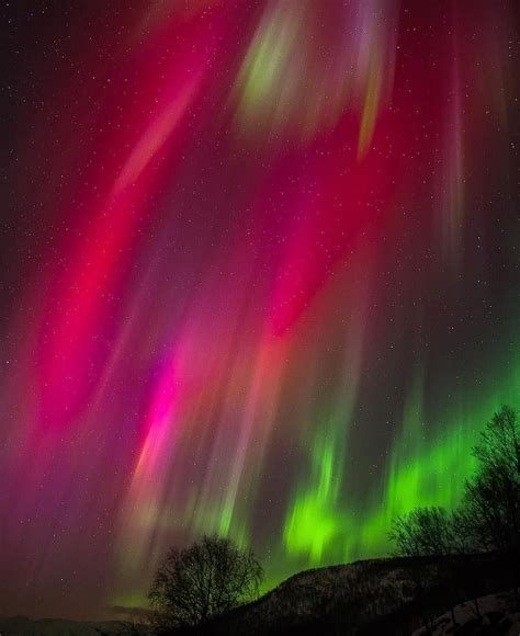 "Magical unique pink northern lights dancing above our hotel, Senja ...