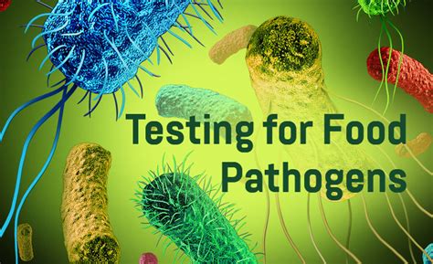 Making Food Pathogen Testing Fast and Easy