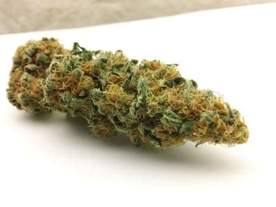 Cali O Weed Strain Information | Leafbuyer