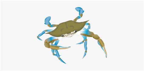 Blue Crab Vector at Vectorified.com | Collection of Blue Crab Vector ...