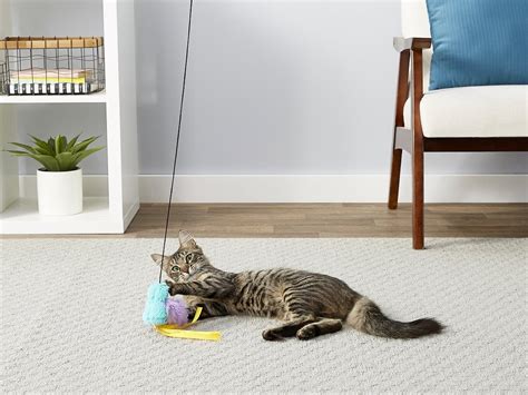 This $6 Toy From Chewy Drives Cats Absolutely Wild