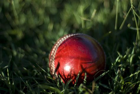 Free Stock Photo 4838 ball in the grass | freeimageslive