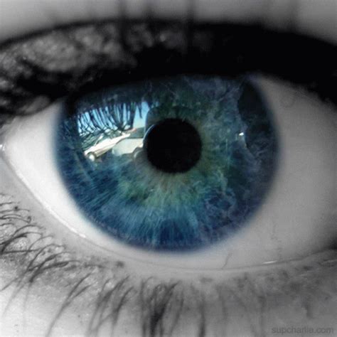 Blue Eyes Gif GIF - Blue Eyes Gif Funny - Discover & Share GIFs