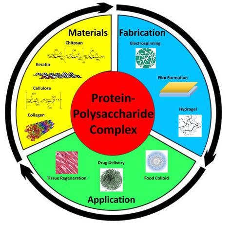 Polymers | Free Full-Text | Protein–Polysaccharide Composite Materials ...