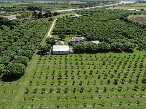 FOR SALE: Fully Established Mango Orchard 🥭 🥭 #QLD #Bowen #ForSale # ...