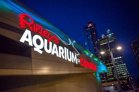 Ripley's Aquarium of Canada Articles – Special Event Venue in Toronto, ON