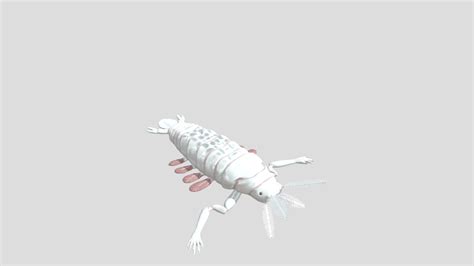 Abyssal Copepod 3D model Sculptgl - 3D model by 3Dbiawak [018beff] - Sketchfab