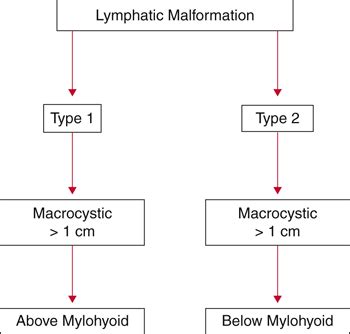 Lymphatic Malformations | Obgyn Key