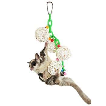 Best Sugar Glider Toys - Top 5 Reviews | TheReviewGurus.com