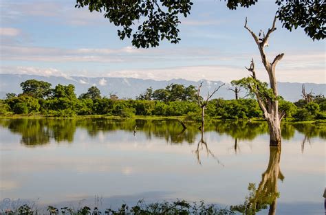 An Amazing Safari in Udawalawe National Park - The Bakers' Journey