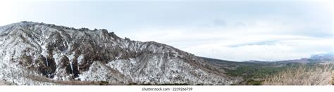 3,250 Jeju Snow Stock Photos, Images & Photography | Shutterstock