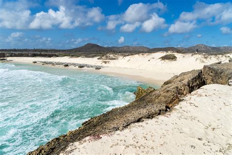 12 Best Beaches in Bonaire | Celebrity Cruises