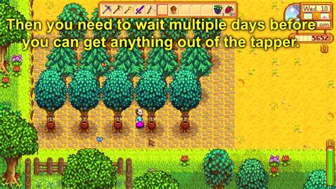 Stardew Valley Tree Farm | SexiezPix Web Porn