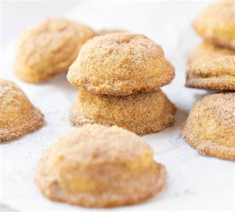 Mexican Cinnamon Cookies - The Dessert Pantry