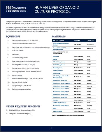 Human Liver Organoid Culture Protocol