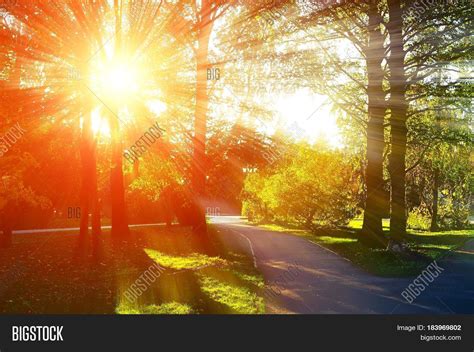 Beautiful Sunny Autumn Image & Photo (Free Trial) | Bigstock