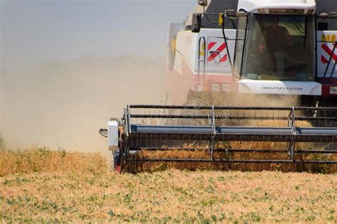 Harvesting Peas with a Combine Harvester. Harvesting Peas from the Fields Editorial Stock Photo ...