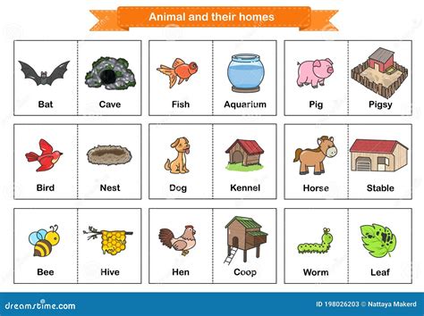 Animal And Their Homes Flash Cards. Printable Flash Card Illustrating. - Flashcards For ...