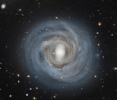 Hubble Views Spiral Galaxy NGC 4921