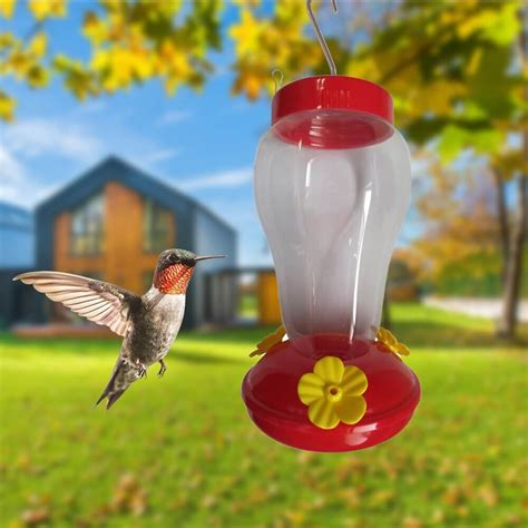 Buy Hummingbird Bird Nectar Feeder in Kenya | Petsasa