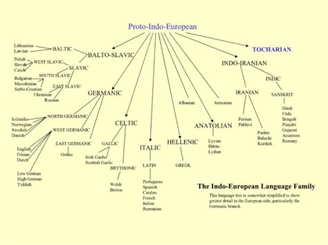 Indo-European Language Tree