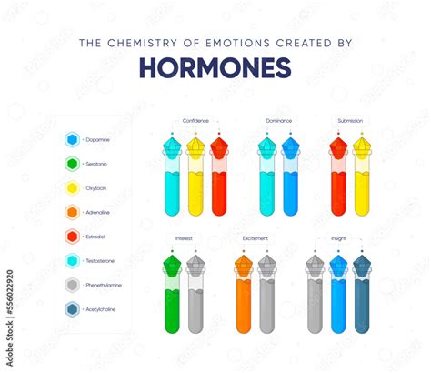 The chemistry of emotions created by hormones. Dependence of the state ...