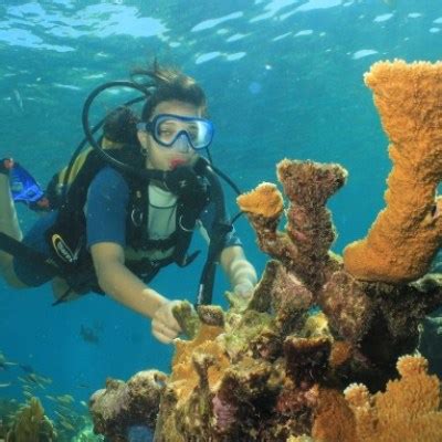 Snorkeling Tour and Scuba Diving in Varadero | UNDERWATERCUBA