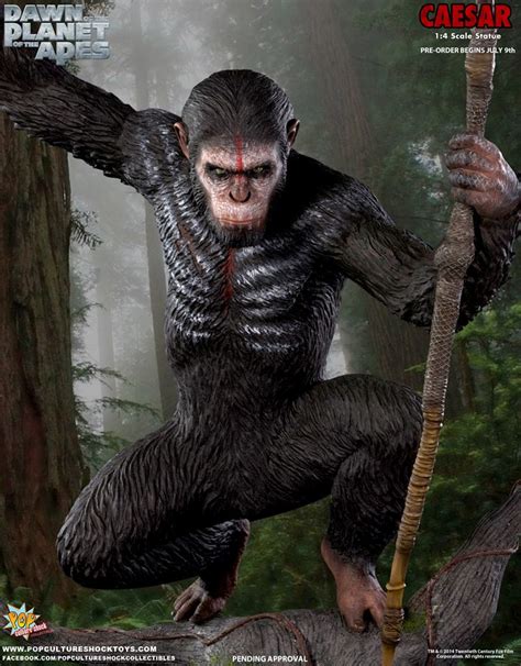 Pop Culture Shock Dawn of the Planet of the Apes Caesar Statue Photos - The Toyark - News