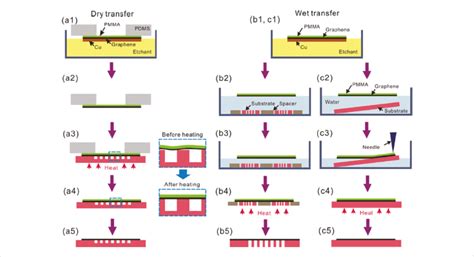 Schematic illustration of dry and wet transfer processes. (a) Dry... | Download Scientific Diagram