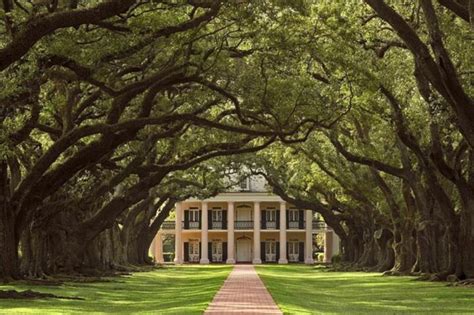 Oak Alley Plantation & Swamp Tour | Gray Line