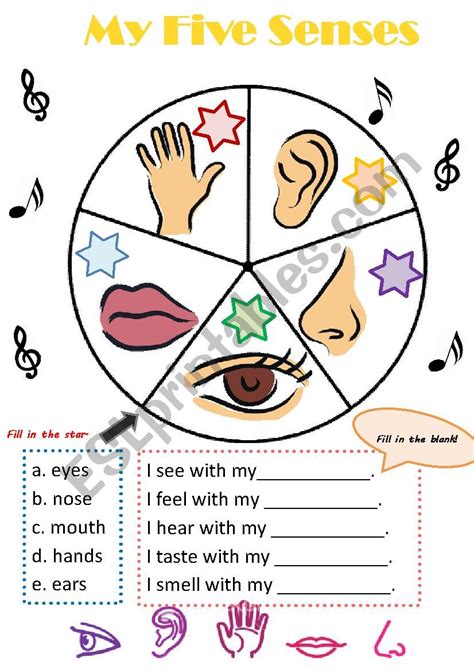 My Five Senses Worksheet