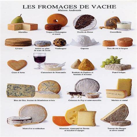 Les différentes variétés de fromages de vache.