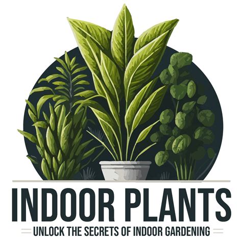 Indoor Plants Believed To Bring Positive Energy To A Home - Indoor Plants