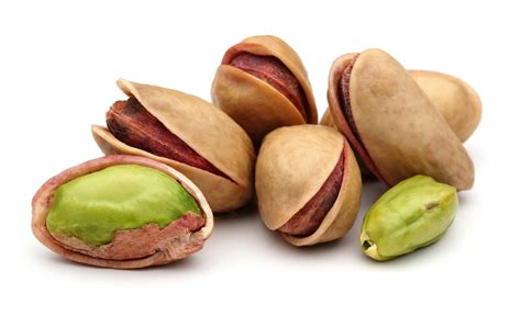 Pistachio nut | food | Britannica