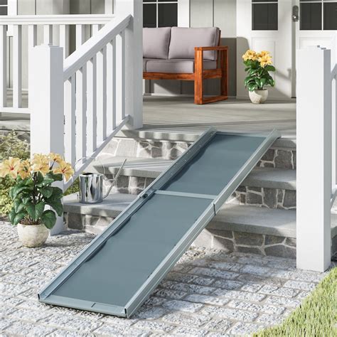 How to Choose a Dog Ramp & Stairs - Foter