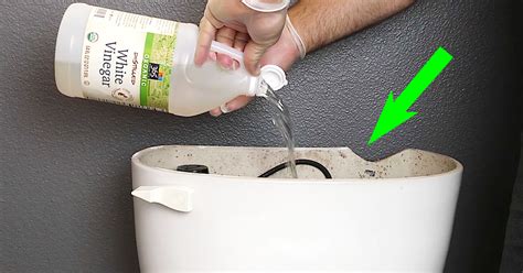 He Pours White Vinegar Inside His Toilet Tank. Now Watch When He Flushes… BRILLIANT!