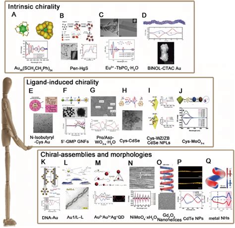 The chiral induction method of nanomaterials. (A-D). Chiral cores A.... | Download Scientific ...