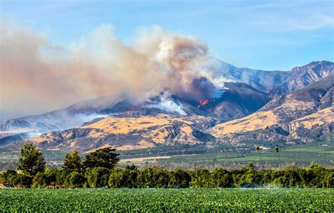 What caused the devastating 2020 fire season in California? - Earth.com