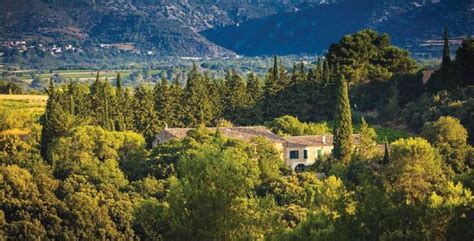 The Legacy of a Languedoc Patriarch | Sommelier India - The Wine ...