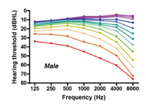 Average Hearing Test Results by Age and Gender